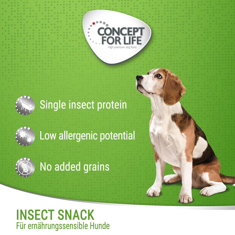 Concept for Life Insect Snack mit Karotte
