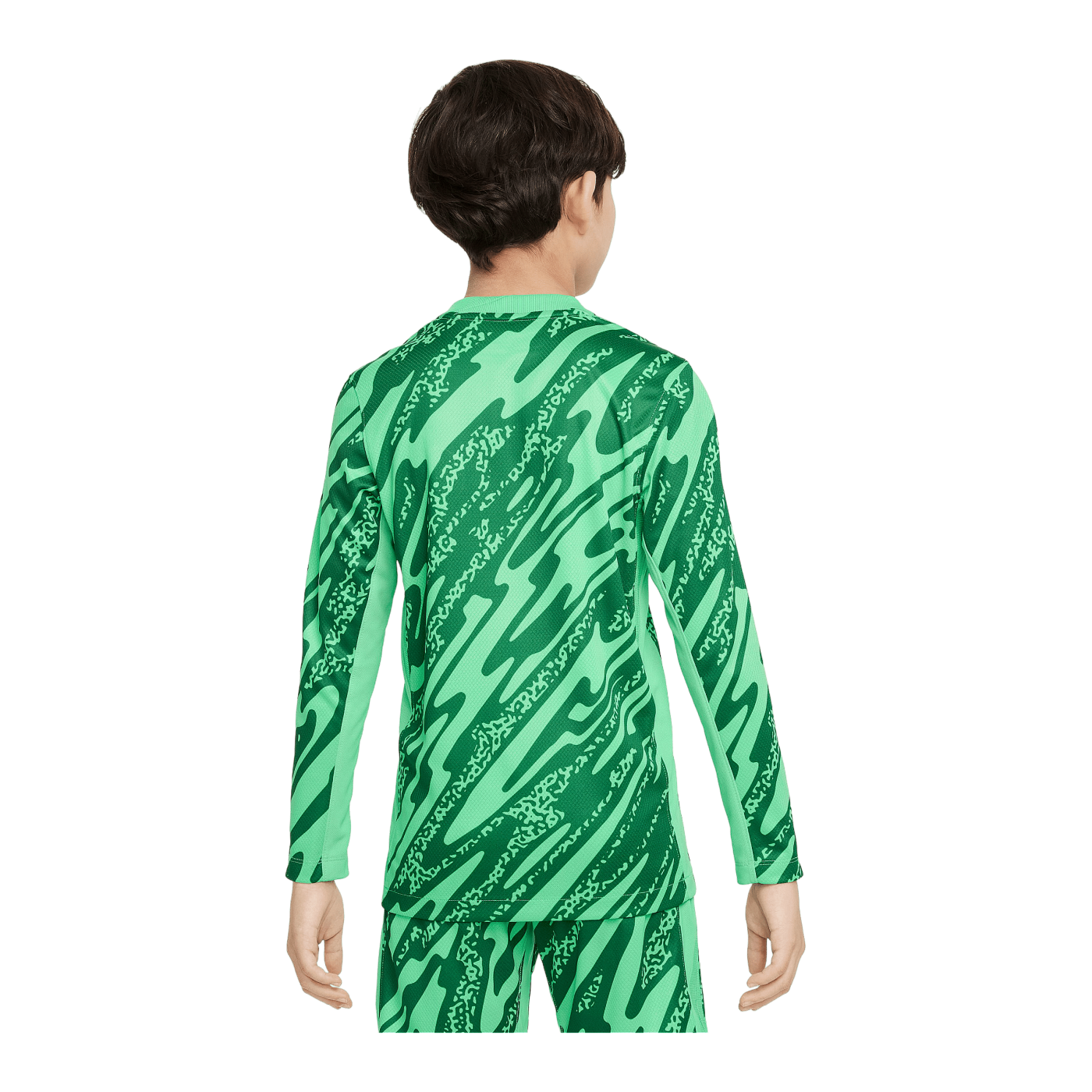 Nike Paris St. Germain Torwarttrikot langarm 2024/2025 Kids Grün F329