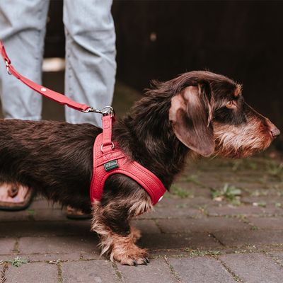 HUNTER Verstellbare Führleine Round & Soft Love, rot