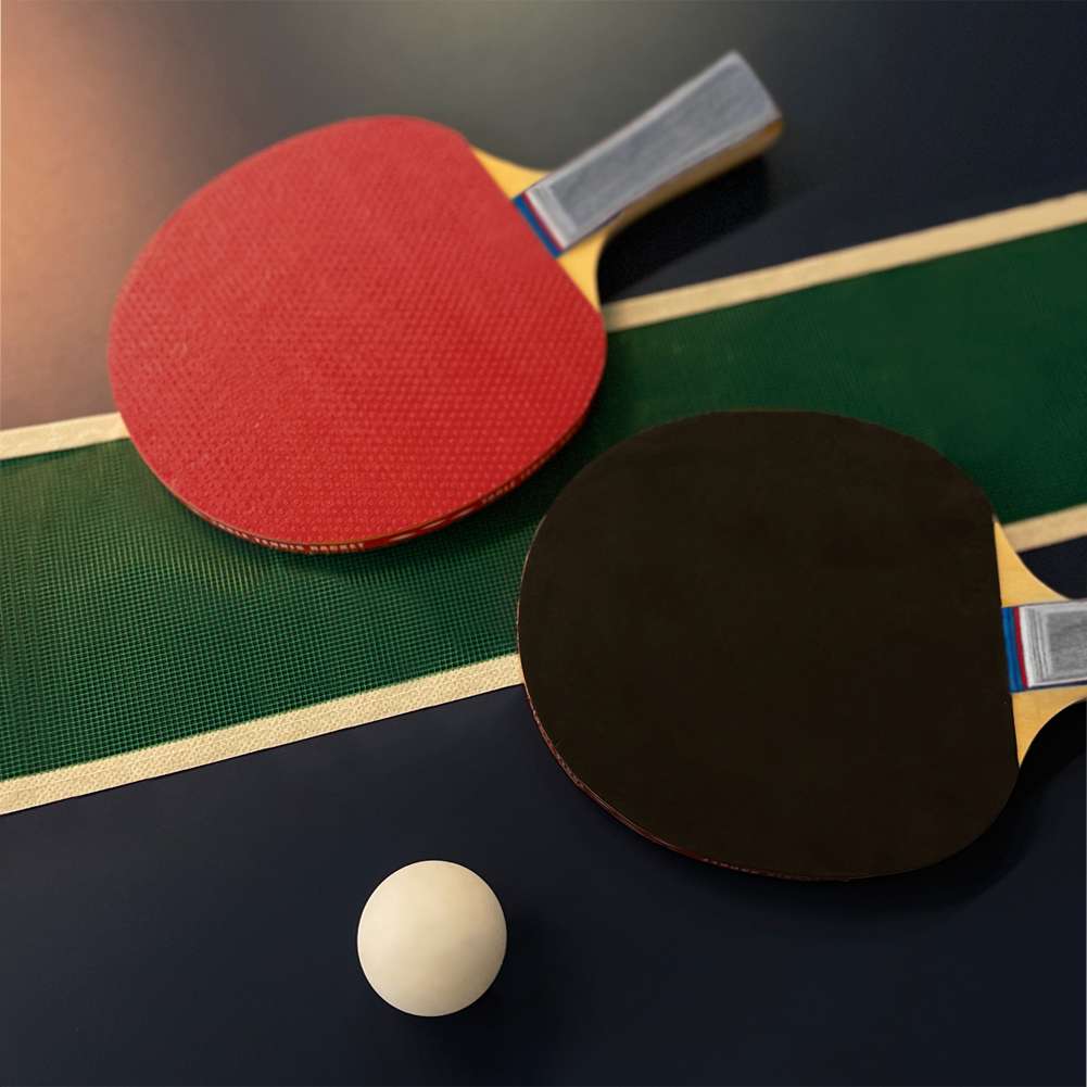 JELEX Palanga 2er-Set Tischtennis Schläger mit Netz und 3 Bällen