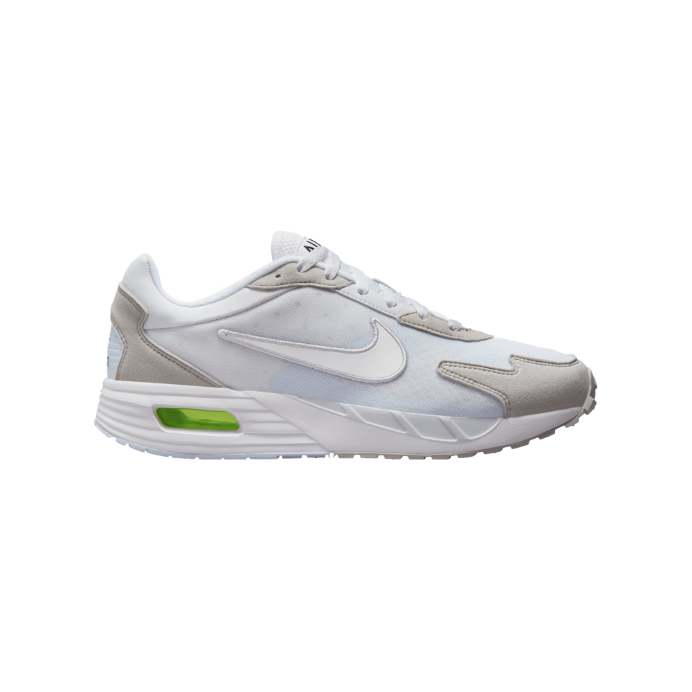 Nike Air Max Solo DX3666-003 / grau