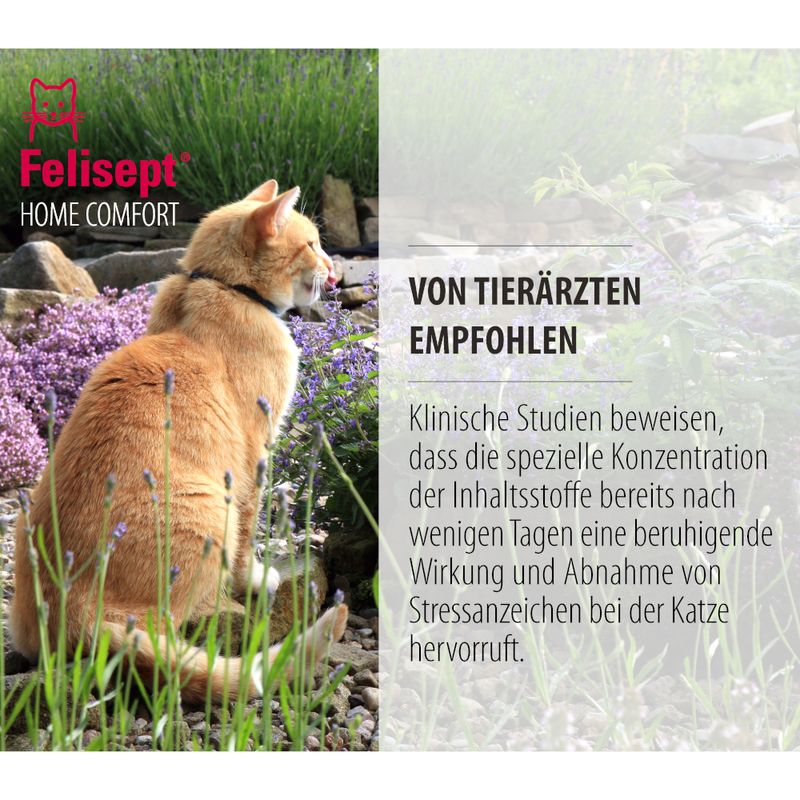 Felisept Home Comfort Set - Beruhigung für Katzen