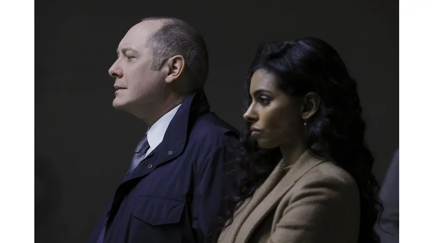 The Blacklist - Die komplette achte Season  [6 DVDs]
