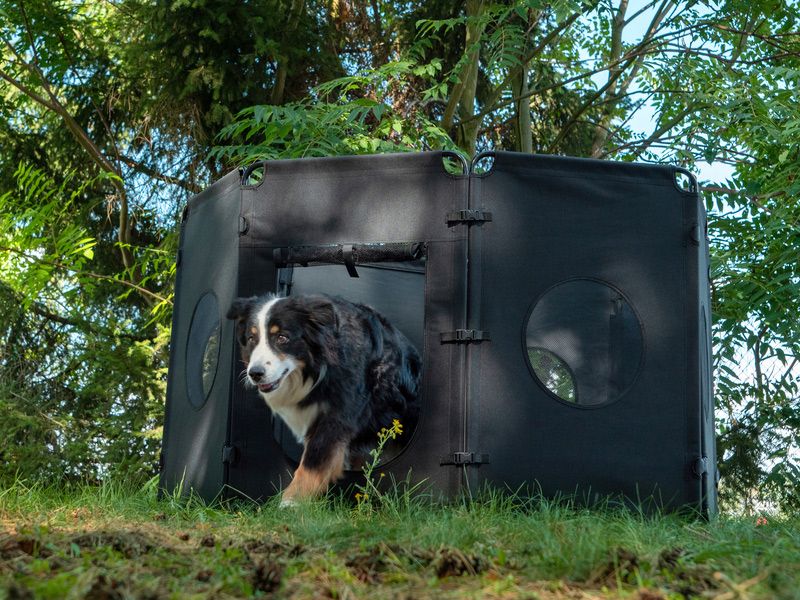 Camp4 Hundegehege