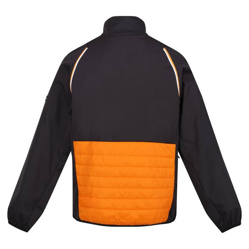 Regatta Steren Funktionsjacke Herren