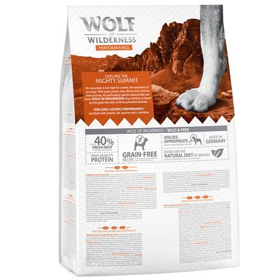 Wolf of Wilderness 