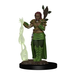 D&D Icons of the Realms Premium Figures: Human Female Druid