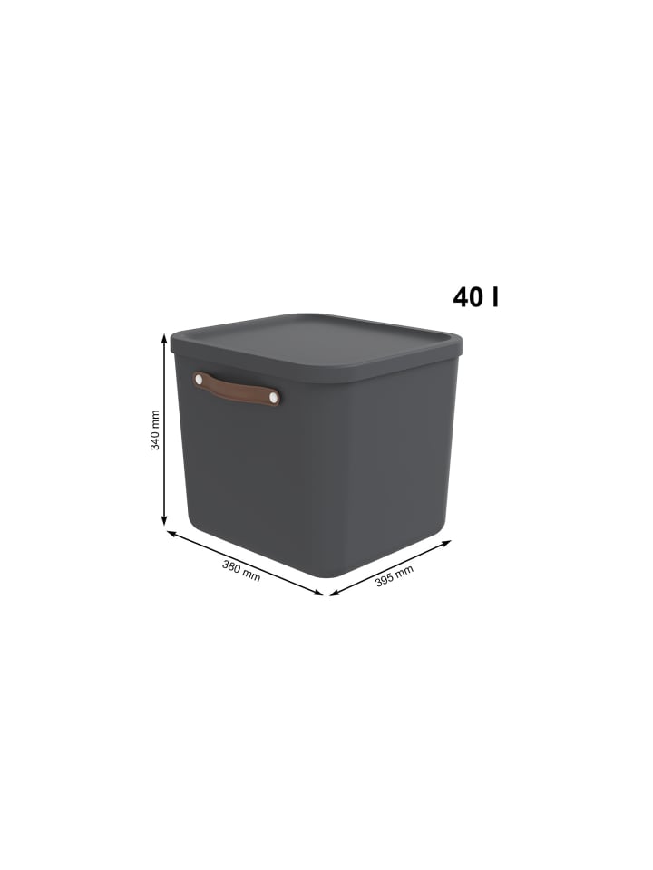 Rotho Aufbewahrungsbox mit Deckel 40 l MALOJA in Holzkohle schwarz ged. günstig kaufen onesize