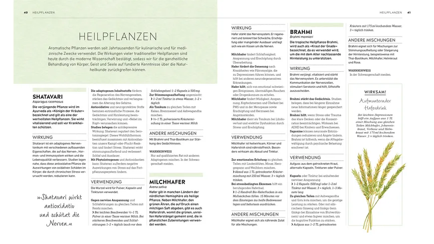 Die kleine Hausapotheke für Körper & Geist