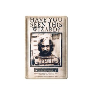 Harry Potter 3D Blechschild Have You Seen This Wizard 20 x 30 cm