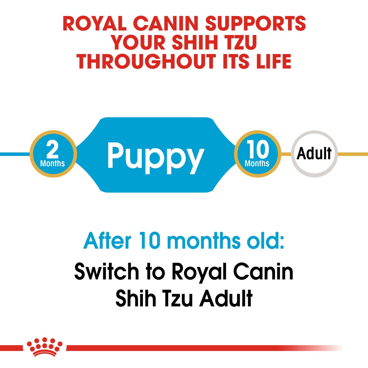 ROYAL CANIN Shih Tzu Puppy Welpenfutter trocken bei ZooRoyal