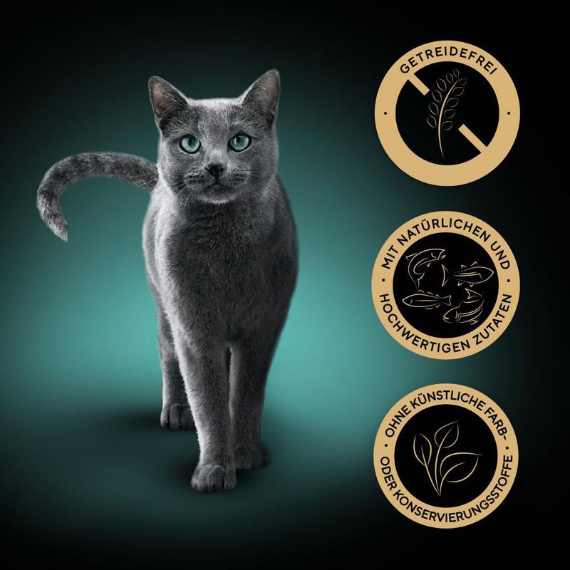 Sparpaket Sheba Nature's Collection in Sauce 144 x 85 g | bitiba