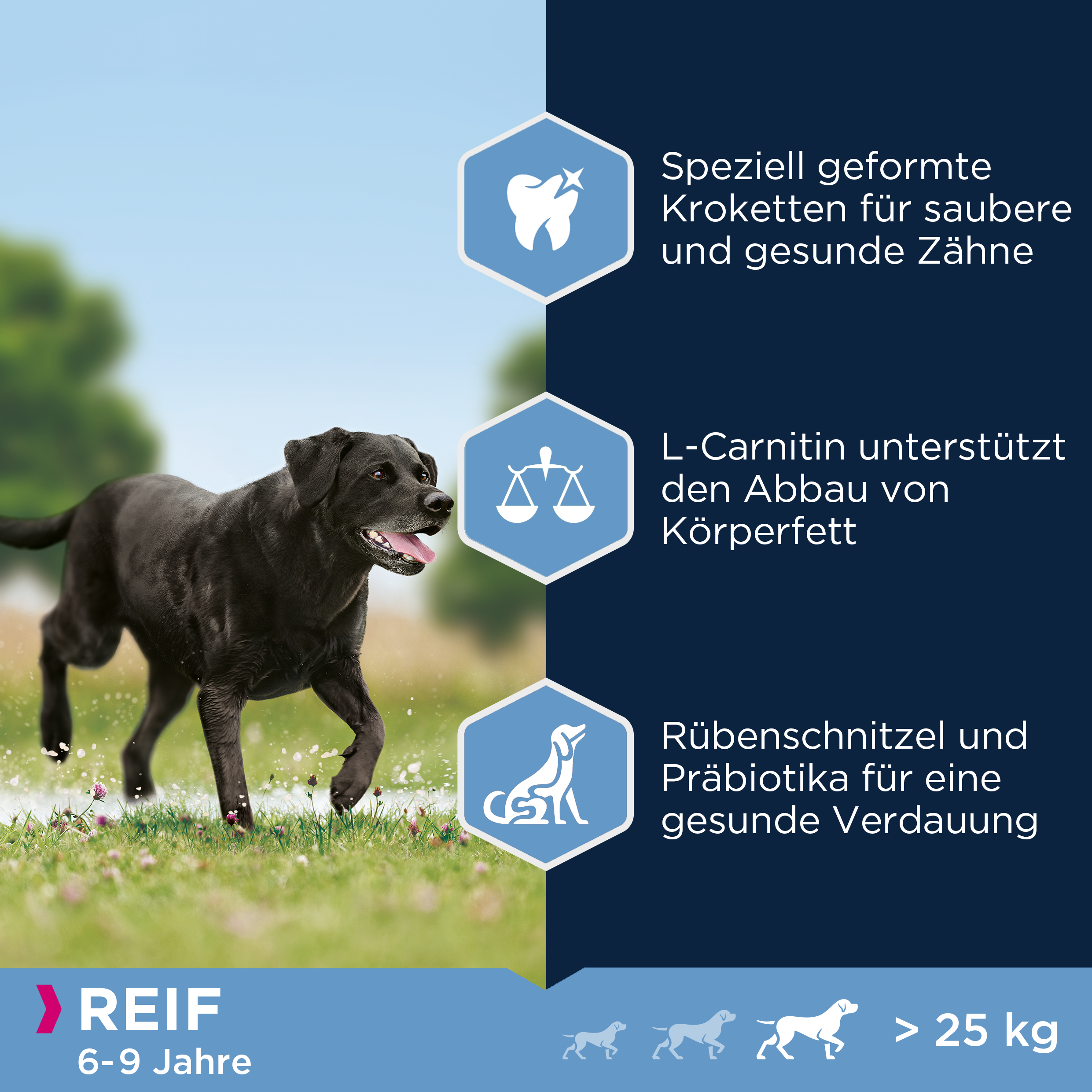 EUKANUBA Hundetrockenfutter EUKANUBA Mature & Senior Large Breed 15kg