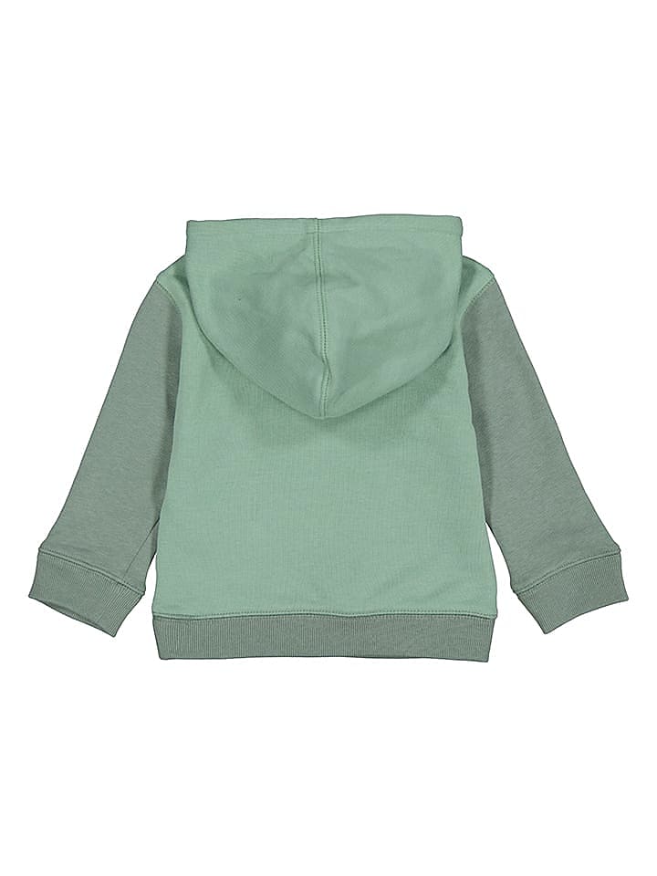 GAP Hoodie in Grün günstig kaufen 80/86