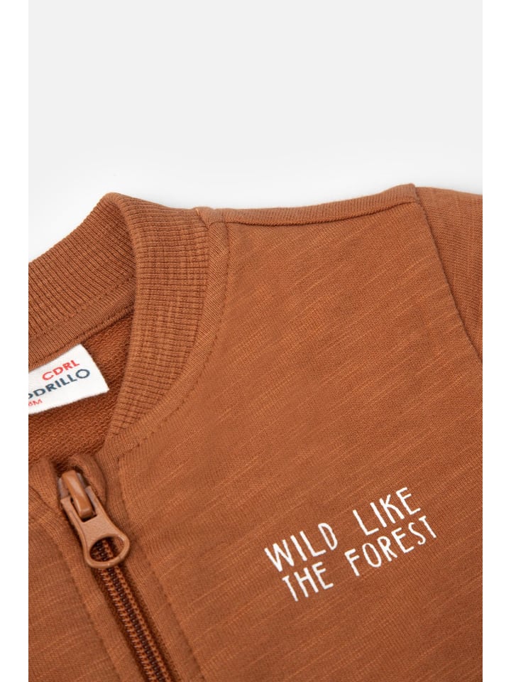 Coccodrillo Sweatshirt mit Reißverschluss in braun günstig kaufen