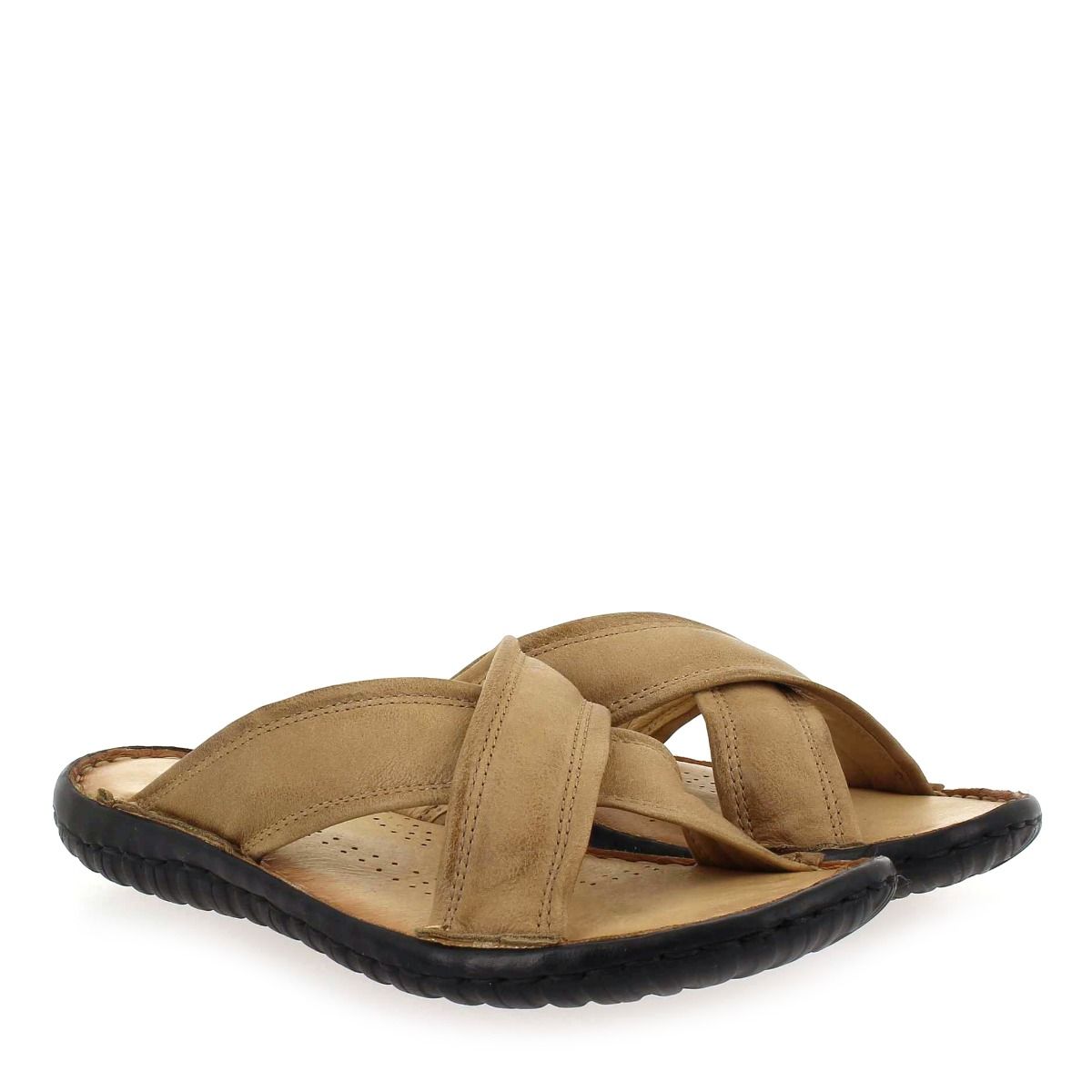 MJUS  439003 - Camel