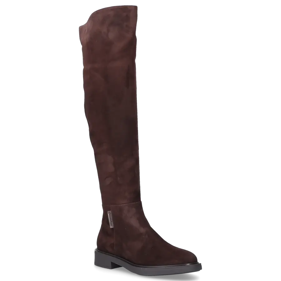 Gianvito Rossi - Stiefel LEXINGTON Veloursleder - braun