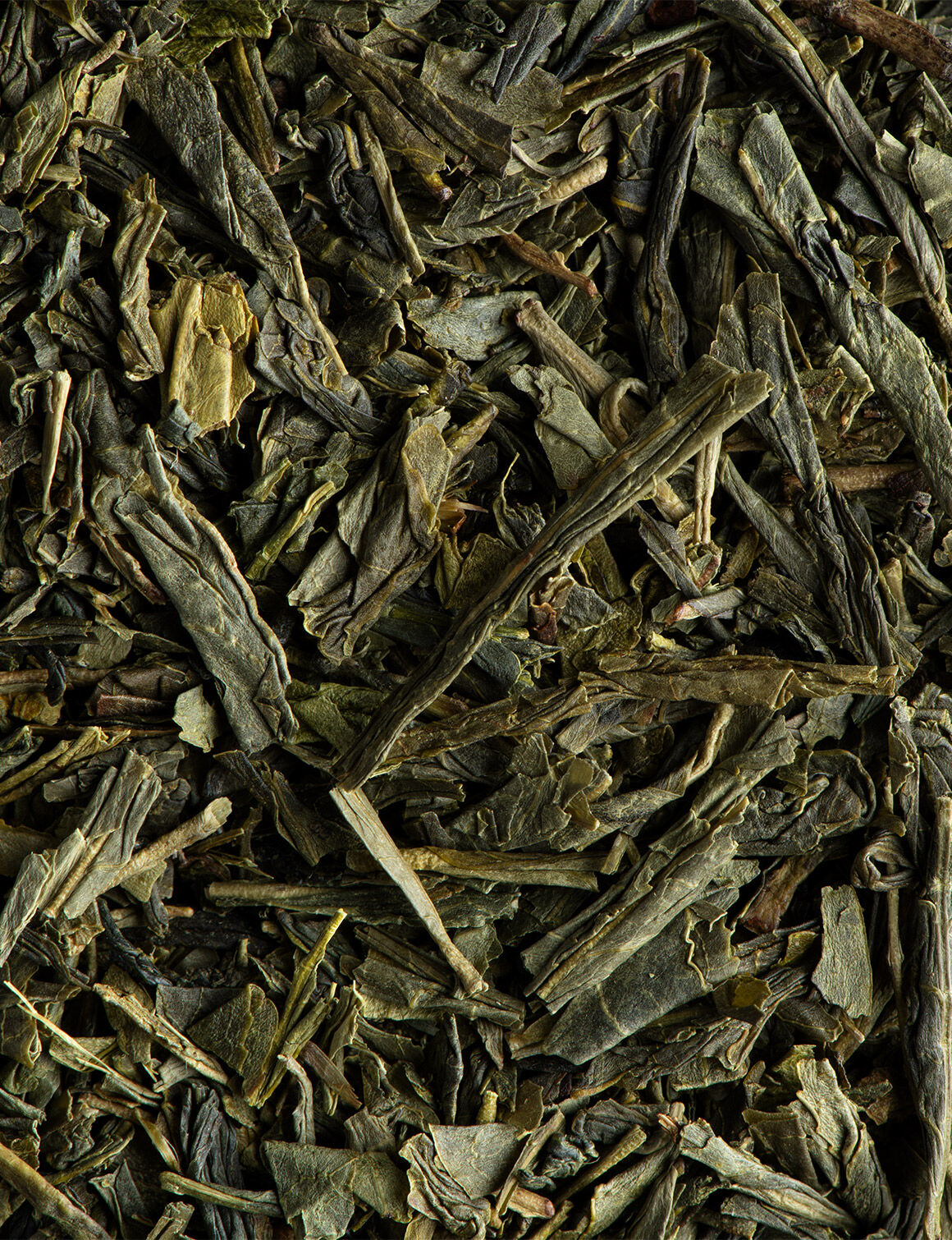 Thé vert Sencha BIO-24 sachets enveloppés