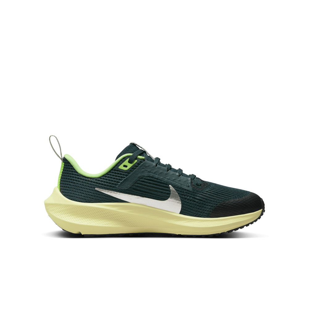 Nike Air Zoom Pegasus 40 DX2498-301 / grün