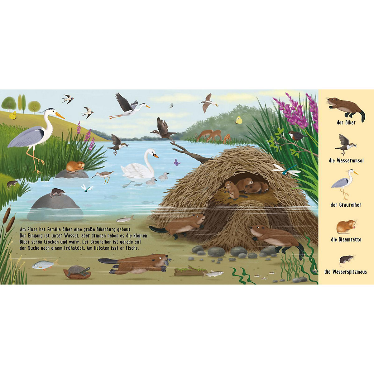 Mein erstes Natur-Wimmelbuch: Tiere am Wasser