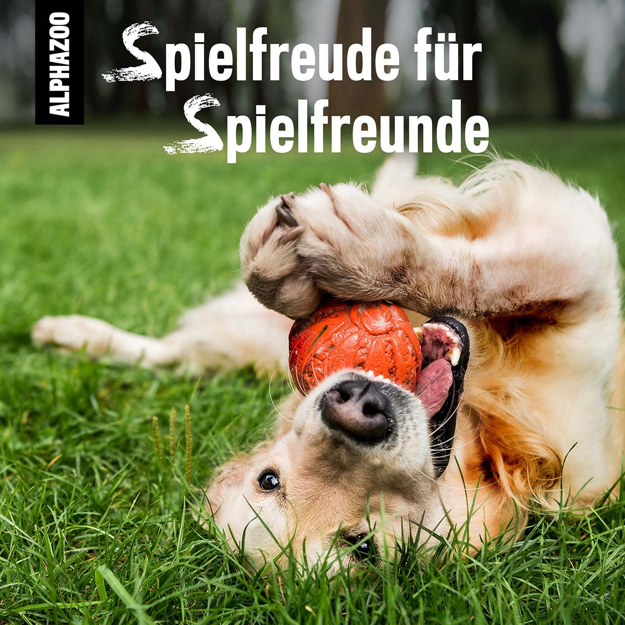 ALPHAZOO Ergänzungsfutter & Aufzucht ALPHAZOO Spielfreude Futteröl für Hunde und Katzen 500 ml