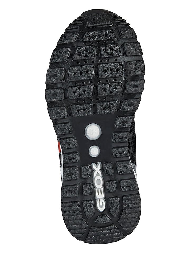 Geox Sneakers 