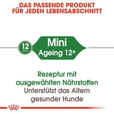 Royal Canin Mini Ageing 12 + in Soße