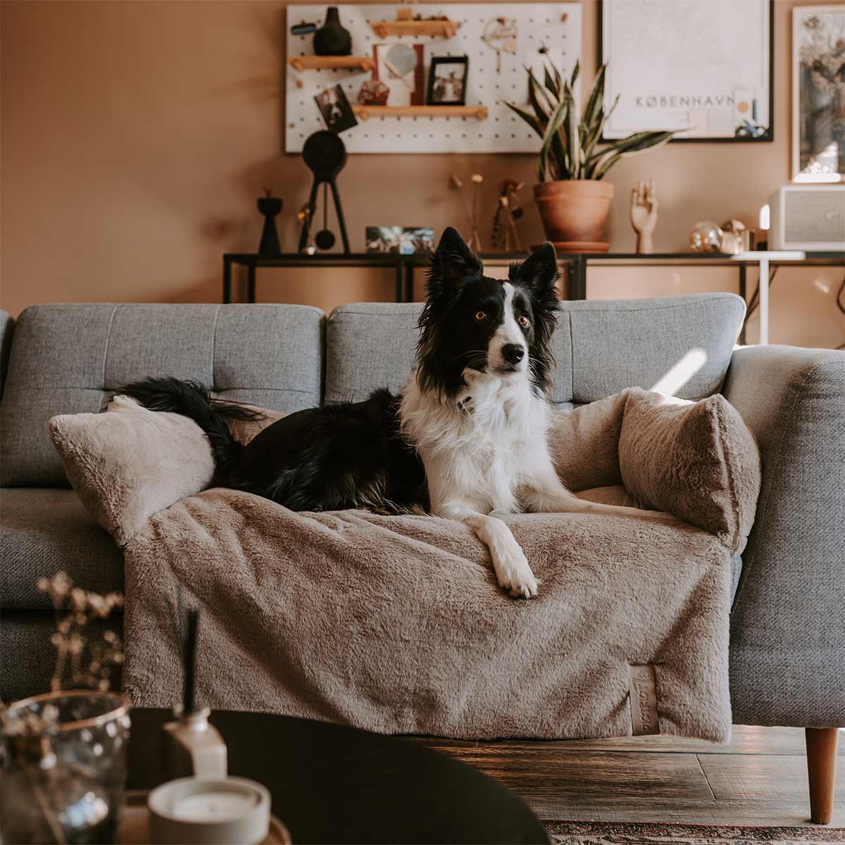 District 70 Sofa Bett NUZZLE taupe günstig kaufen bei ZooRoyal