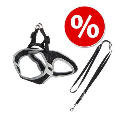 Sparset: Hunde-Softgeschirr Feel Free - schwarz + HUNTER Führleine Ecco Sport, schwarz