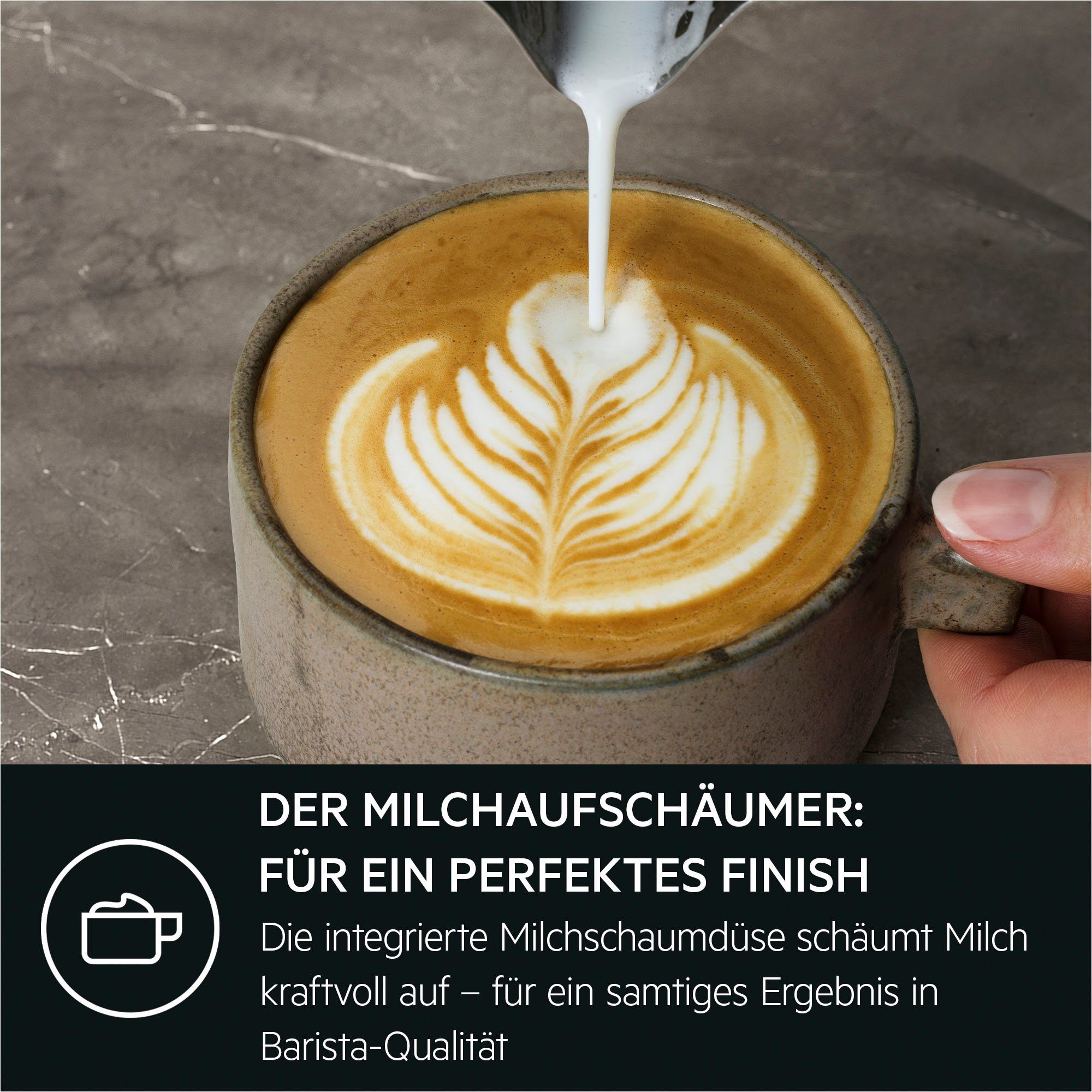 AEG Siebträgermaschine Gourmet 6 EC6-1-6BST, Korbfilter