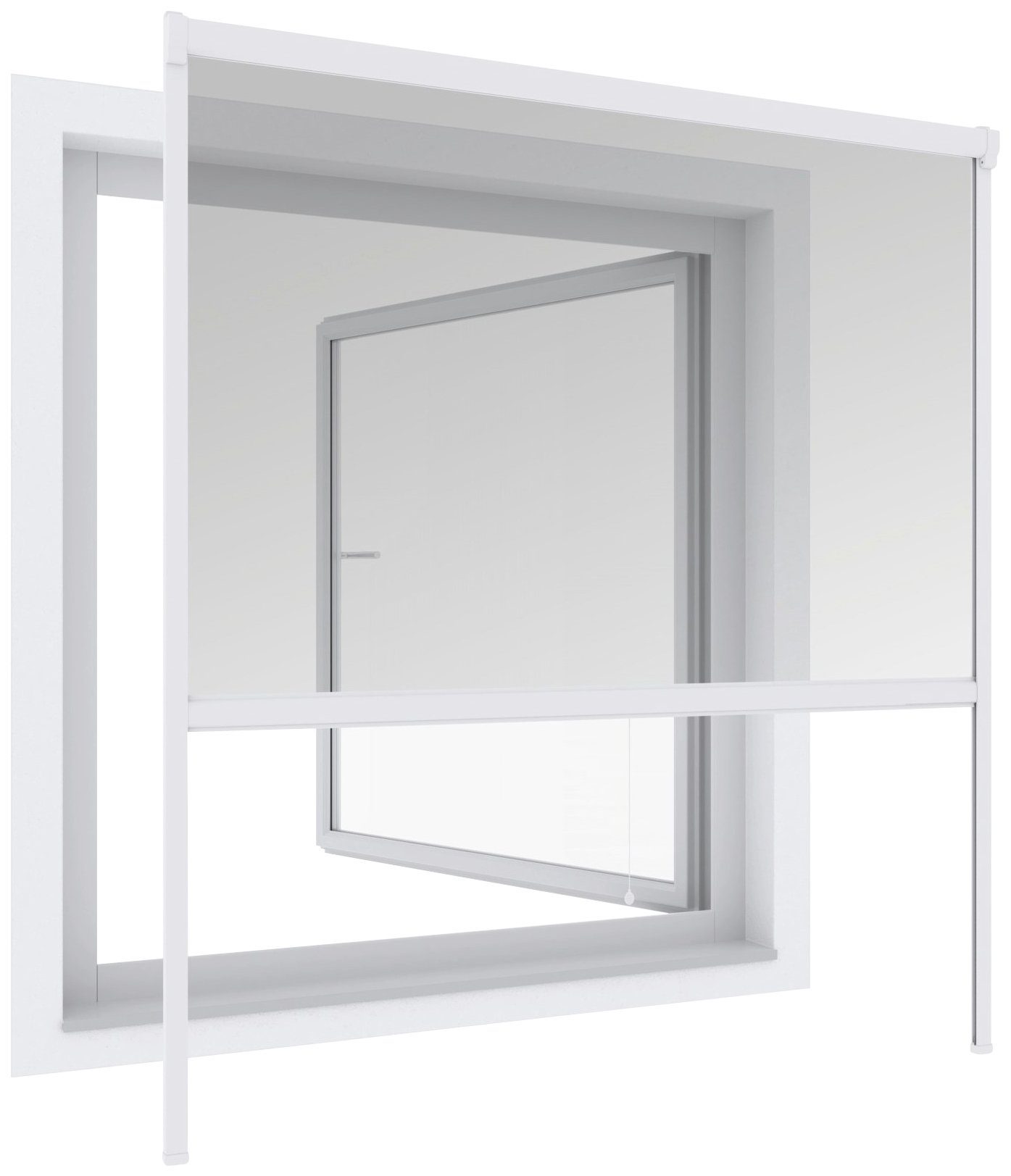 Insektenschutzrollo PLUS, Windhager, transparent, verschraubt, BxH: 160x160 cm