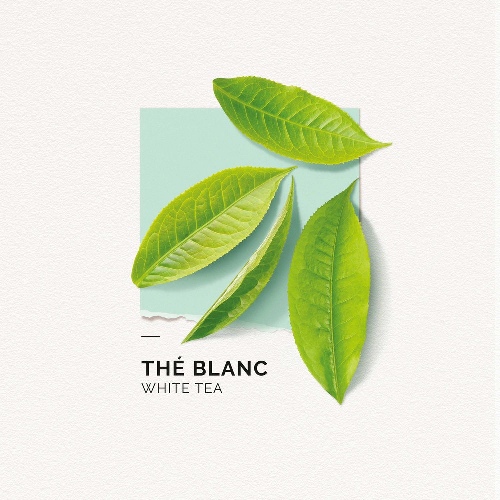 Solinotes Thé Blanc Eau de Parfum