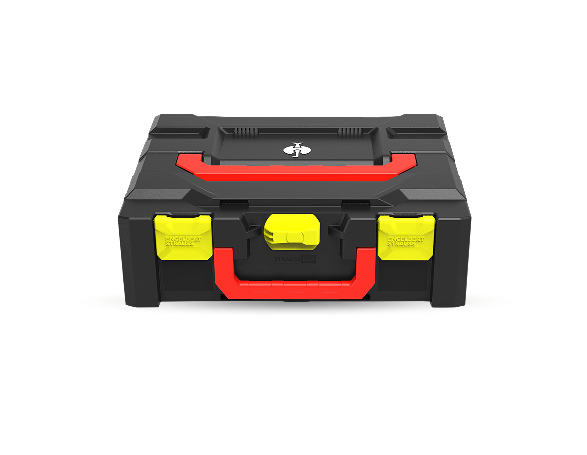 STRAUSSbox 145 midi+ Color