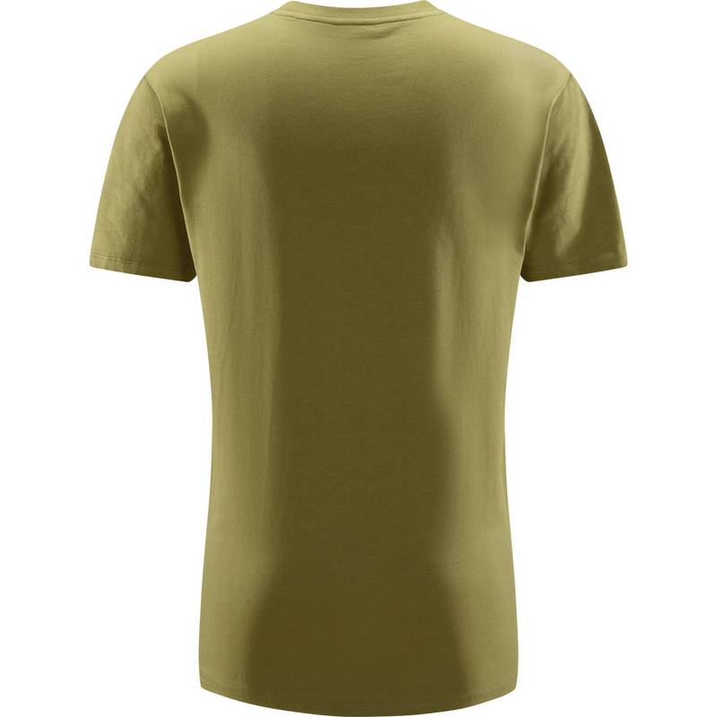 Haglfs Camp Tee Funktionsshirt Herren