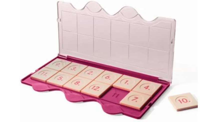 miniLÜK - Kästen / Kontrollgerät Klarsichtdeckel pink