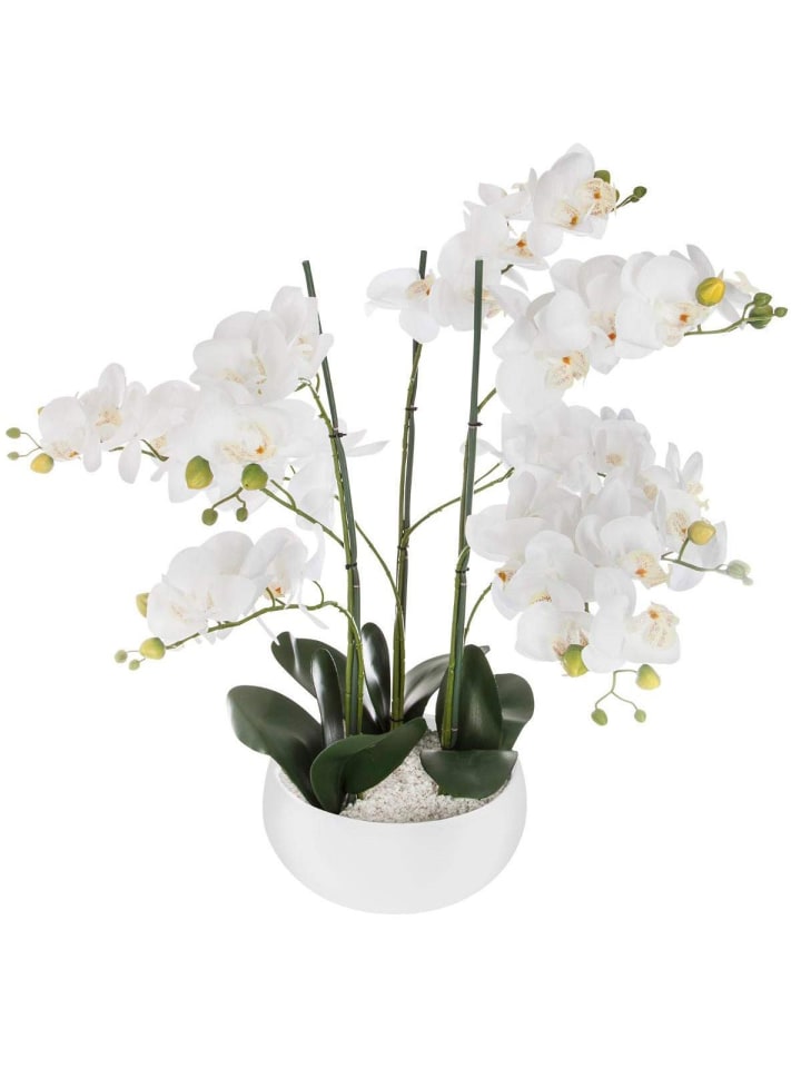 Atmosphera Créateur d'intérieur Kunstblume Orchidee in beige günstig kaufen onesize