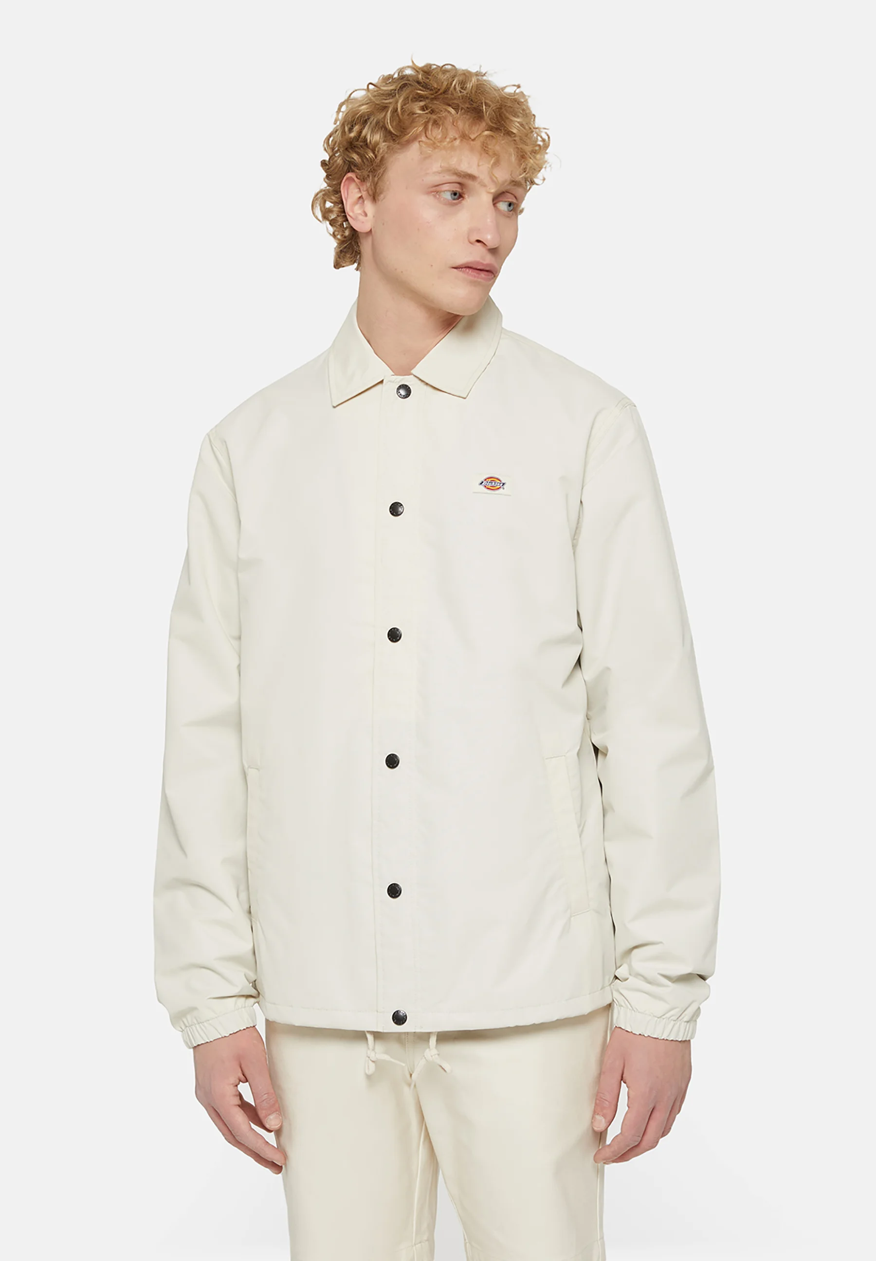 Dickies OAKPORT COACH - Chaqueta ligera