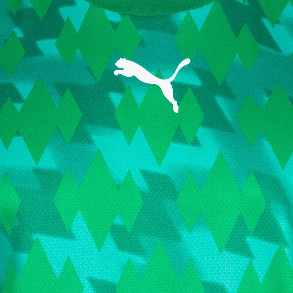 PUMA Herren Handball Trikot 764582-01