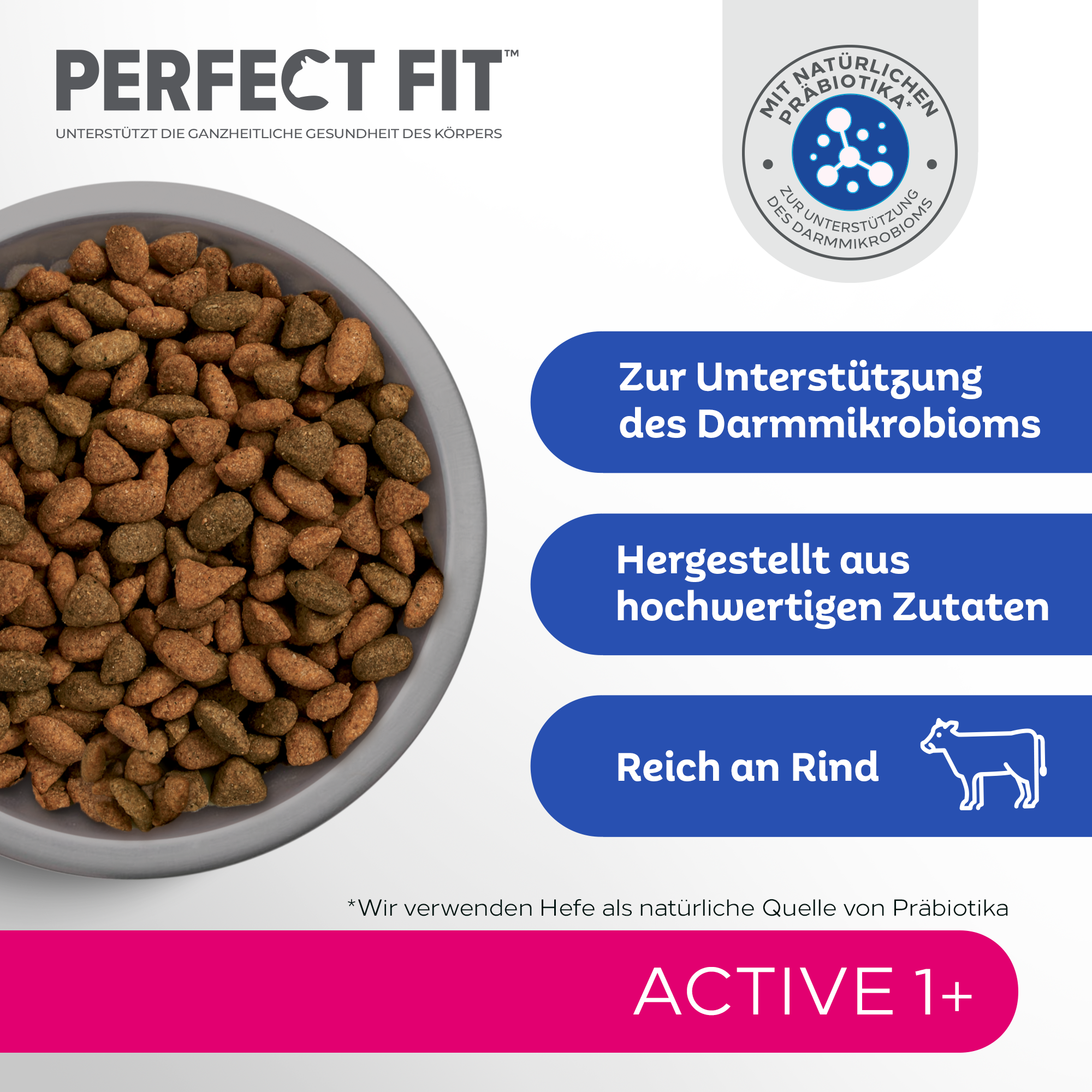 PERFECT FIT Trockenfutter PERFECT FIT Active 1+ mit Rind 6x750 g