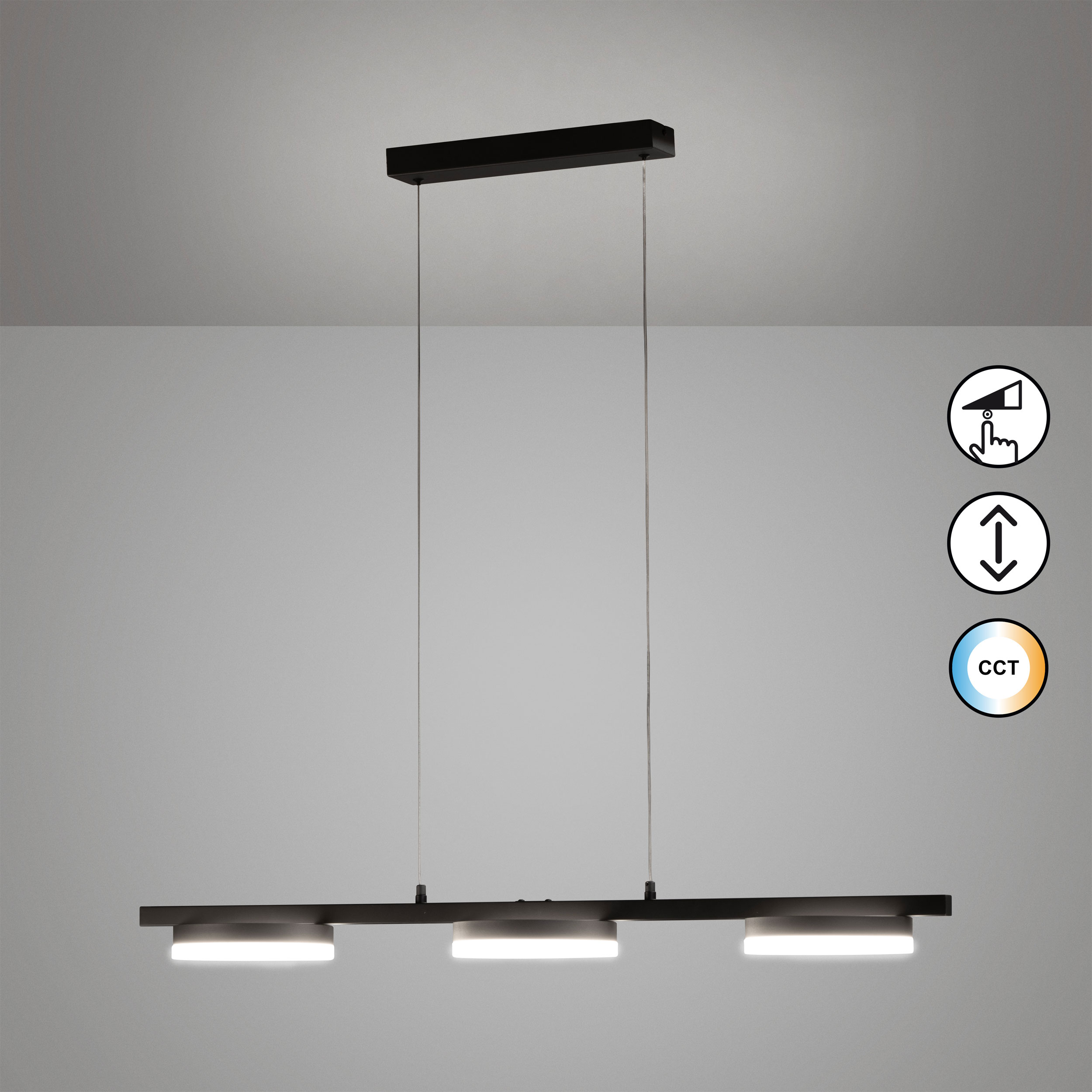 Fischer & HonselLED-Pendelleuchte 1flg