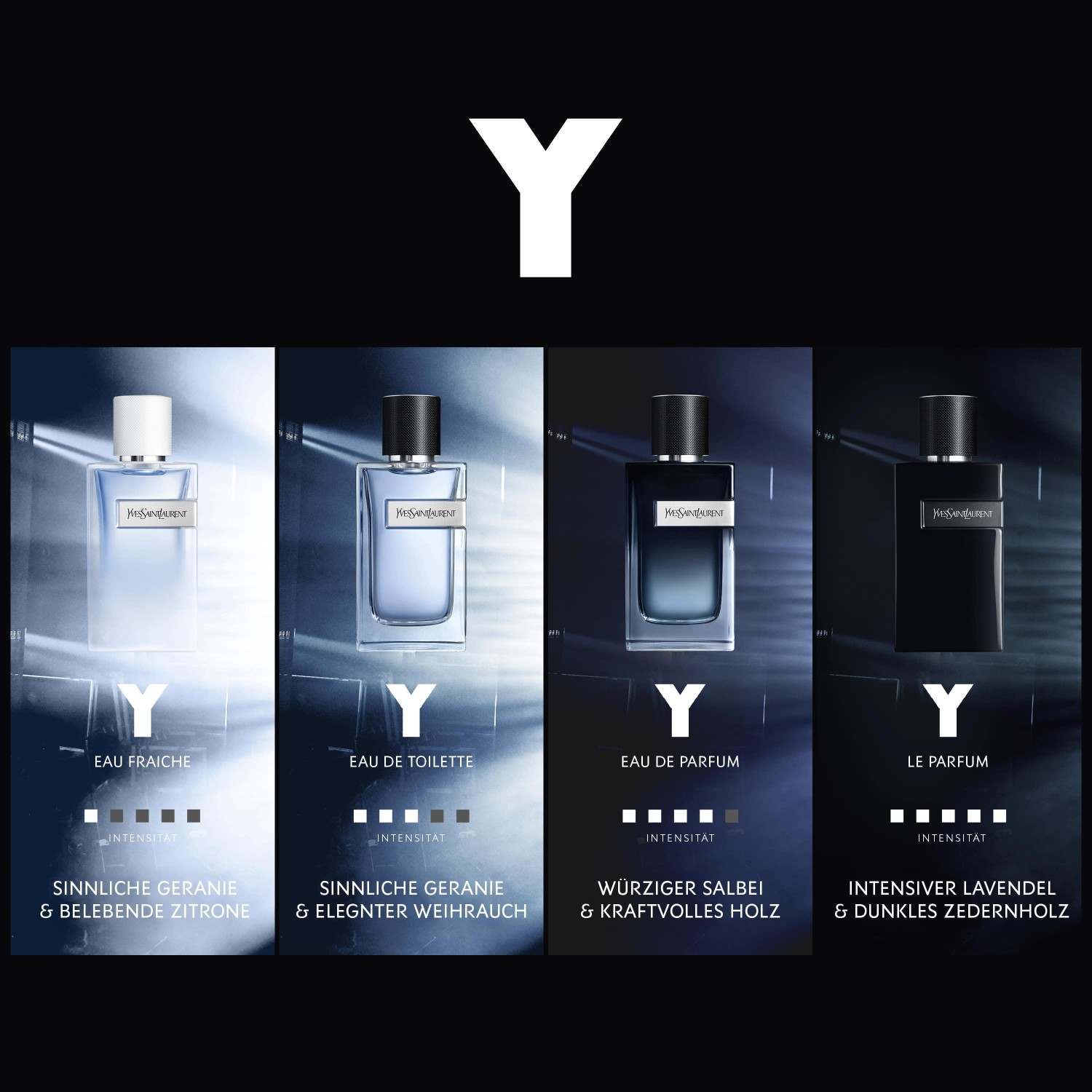 Y