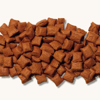 Beaphar Lachs-Bits mit Malt-Paste
