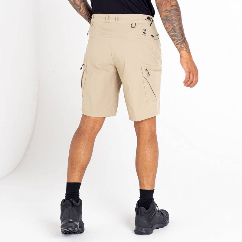 Dare 2B Tuned In II Shorts Herren