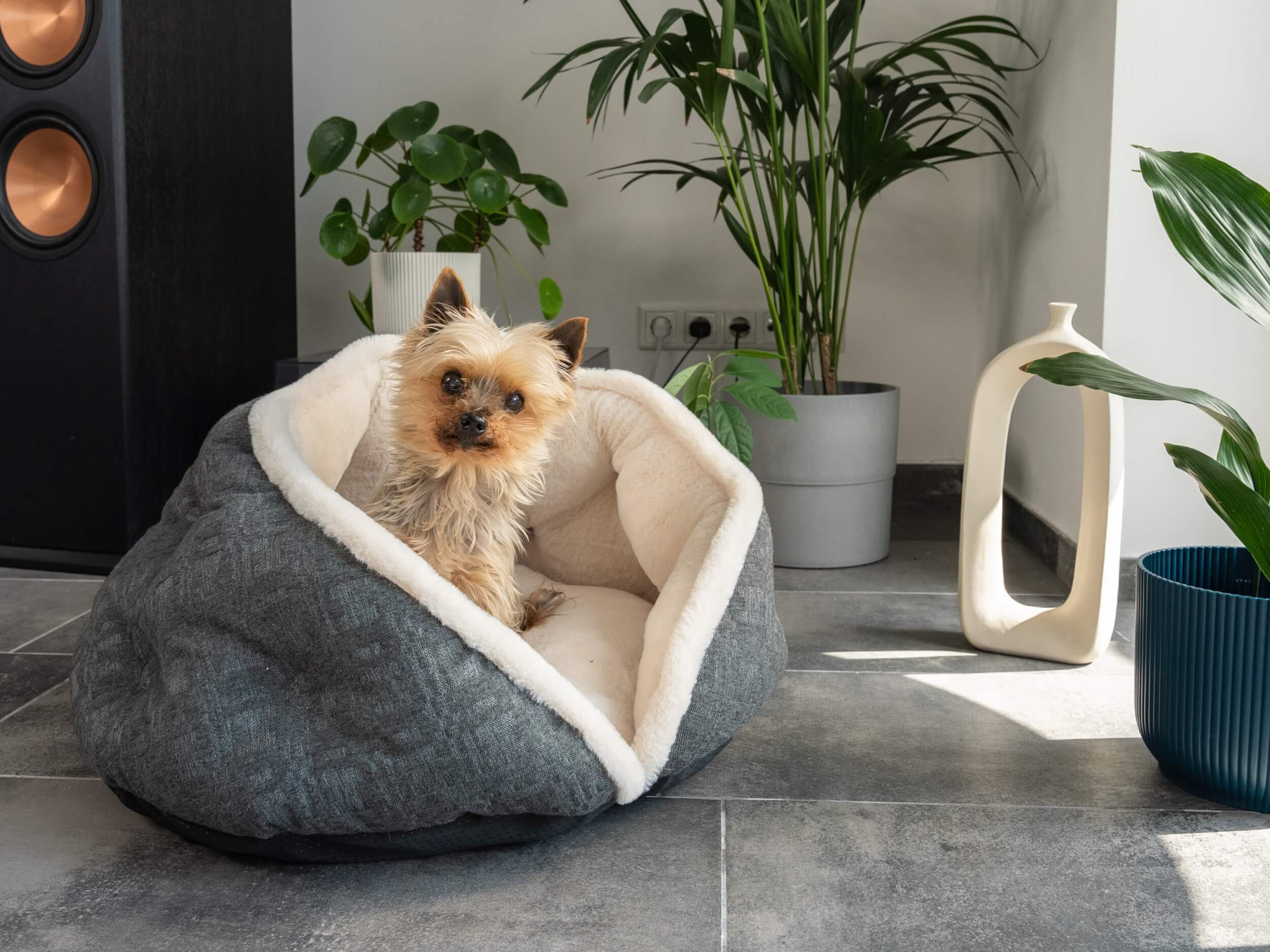 TrendPet Hundebetten TrendPet LunaNest Kuschelhöhle beige S
