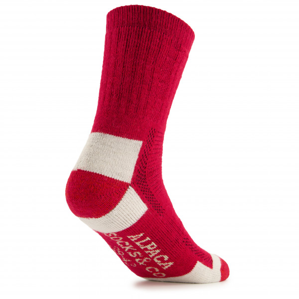 Alpacasocks&Co - Alpacasocks 3-Pack - Expeditionssocken