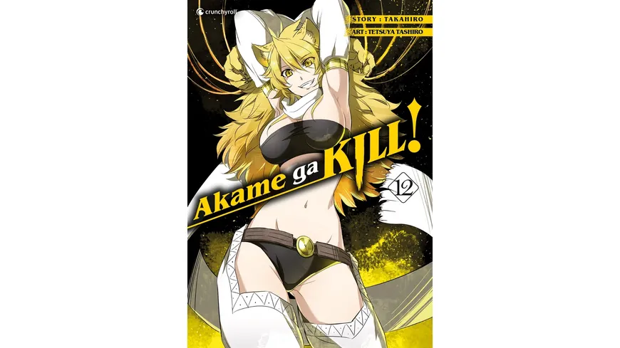 Akame ga KILL! 12