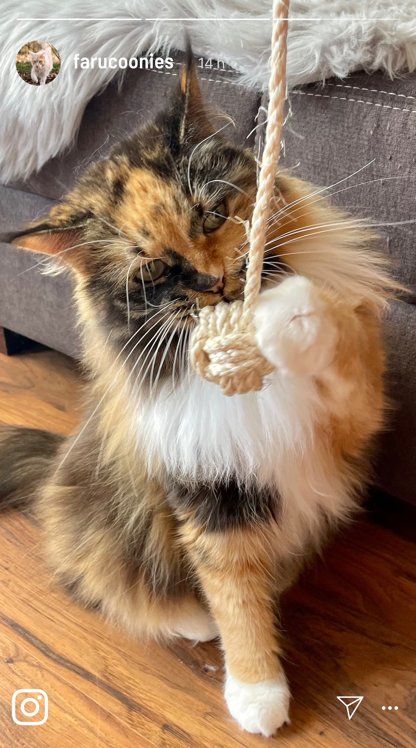 Kater Kasimir Spielmäuse & Bälle Kater Kasimir handgemachte Affenfaust aus reinem Sisal mit Glöckchen