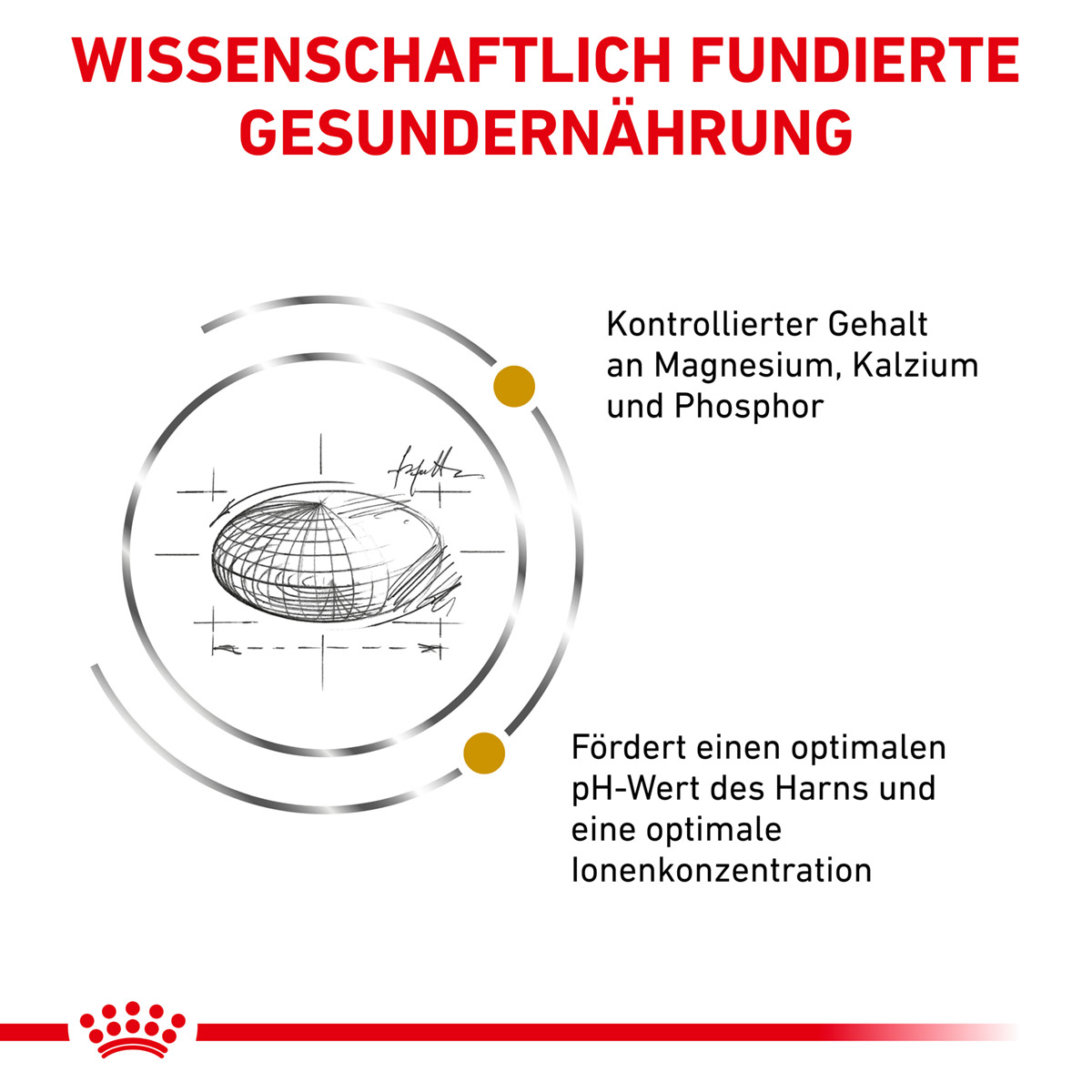 ROYAL CANIN Veterinary URINARY S/O Trockenfutter für Katzen