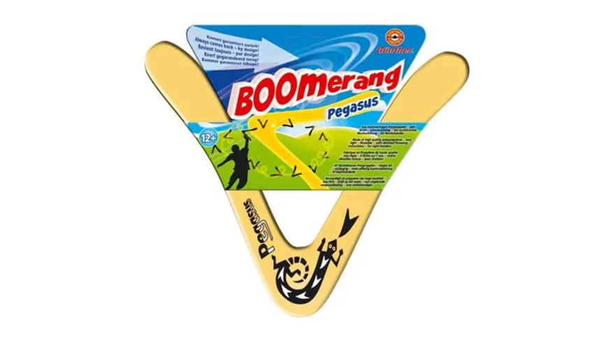Günther Flugmodelle - Pegasus Boomerang