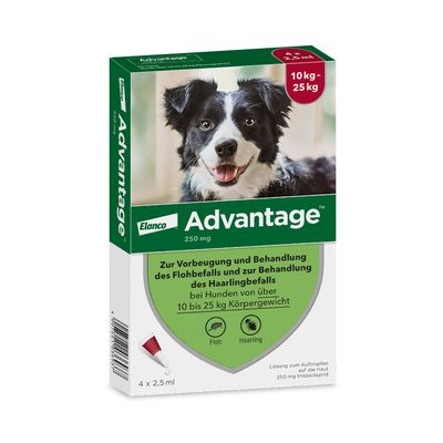 Advantage® 250 für Hunde, von 10 bis 25 kg
